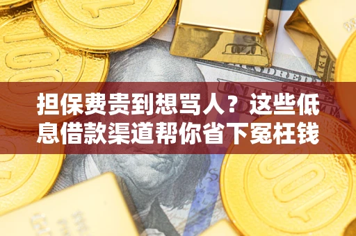 北京担保费贵到想骂人？这些低息借款渠道帮你省下冤枉钱