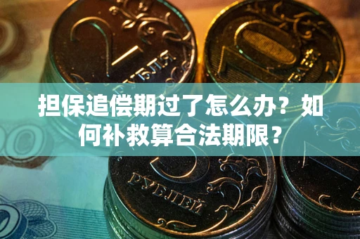 北京担保追偿期过了怎么办？如何补救算合法期限？