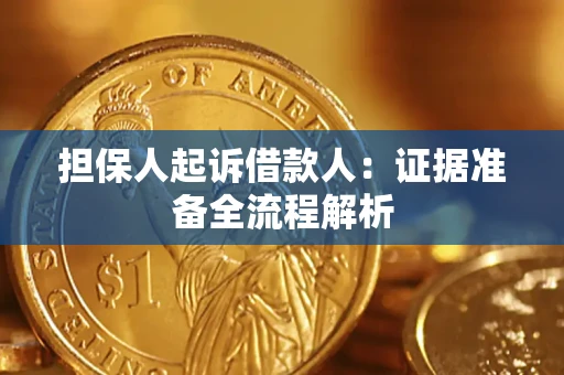 北京担保人起诉借款人：证据准备全流程解析