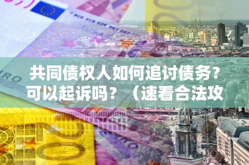 北京共同债权人如何追讨债务？可以起诉吗？（速看合法攻略）