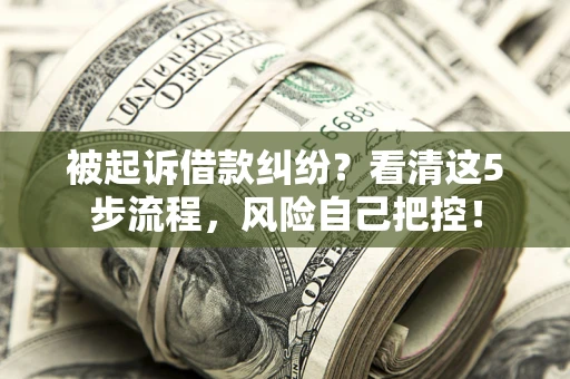 北京被起诉借款纠纷？看清这5步流程，风险自己把控！