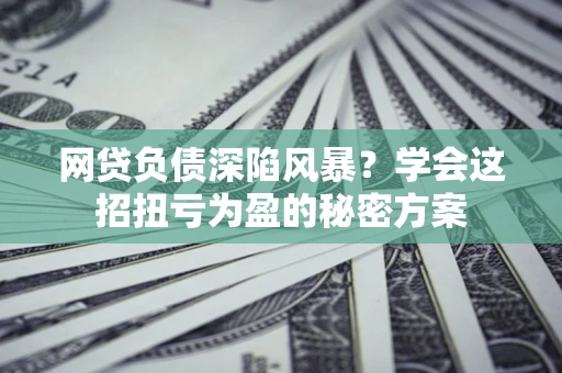 北京网贷负债深陷风暴？学会这招扭亏为盈的秘密方案