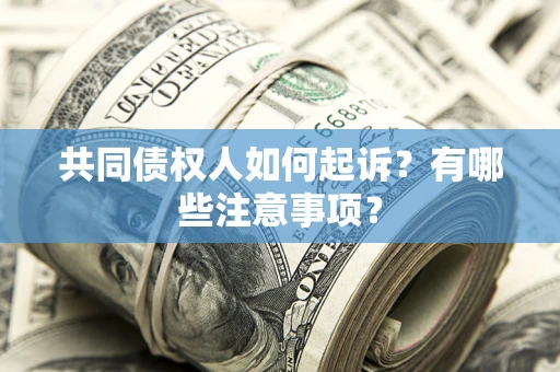 北京共同债权人如何起诉？有哪些注意事项？